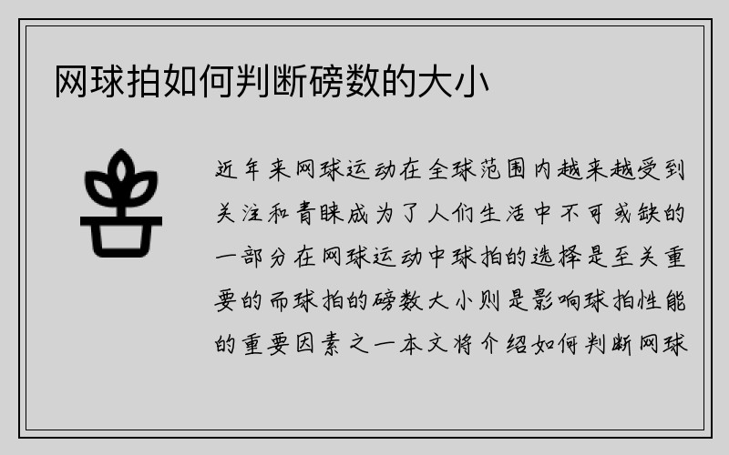 网球拍如何判断磅数的大小