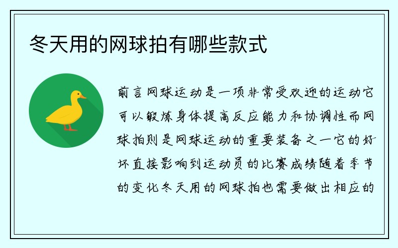 冬天用的网球拍有哪些款式