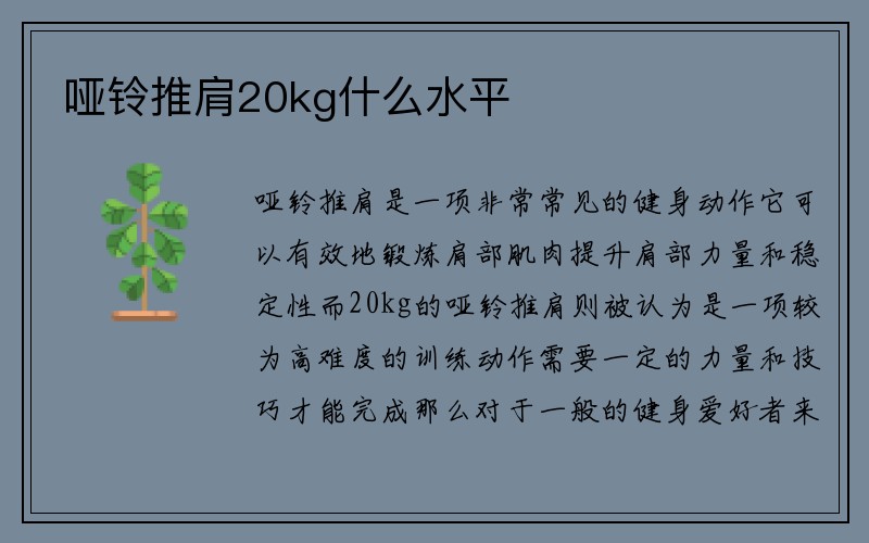 哑铃推肩20kg什么水平